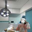 전남 화순 키즈라라 :: 모든 체험 기록 남기기. 푸드코트 메뉴. N회차 방문 후기.