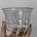 흙먹는고양이 | 개박하 캣닢 대신 다이소 2천원 키트? 캣그라스 고양이 폭풍 먹방 후기