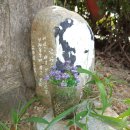 성산건설기계 | <들에서 사라진 개들> 이야기자리 후기: 내 주변의 들개들