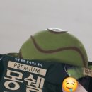 가나상사 | 10월 일상: 말친자의 신상과자 말차간식 8종 후기 🤤💚