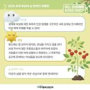 씨앗이야기 이미지