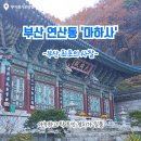 마하사 - 1631 | 🎁부산 최초의 사찰 [마하사] 방문 후기
