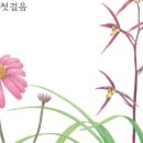 색연필 식물 세밀화 이미지