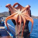 동해상회 이미지