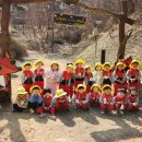 가흥초등학교병설유치원 숲 체험 이미지