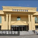 안심리 | [논산 요양원/추천/후기/가격] A+라파엘요양원 논산 A+라파엘요양원, 친절한 서비스