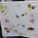 성황림마을 이미지