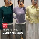 옥스포드교복 | 유니클로 세일에서 이거 안 사면 손해 (옥스포드 박시셔츠, 소프트립티 후기