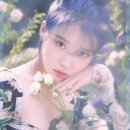 이미지 SBS연예뉴스
