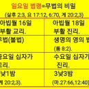 2026.8.23=1335일의 시작=성도의 잔=한때 두때 반때. 이미지