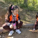 미륵산 유아숲체험원 이미지