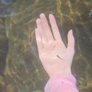 계곡민박 | 광양 금천계곡 물놀이 서동민박 후기