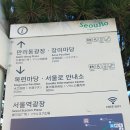 서울역파출소 | [서울여행] 서울로7017 방문 후기! (서울역 가볼만한 곳!)