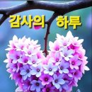 오늘은치과