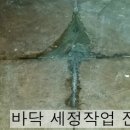 그린종합 이미지