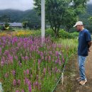 곰배령주차장 이미지