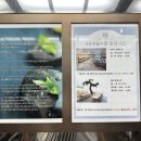 한화리조트 백암온천 대온천탕 이미지