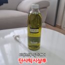 비듬샴푸 두피케어 단사릭시샴푸 후기
