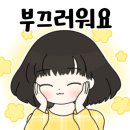 예산스토리