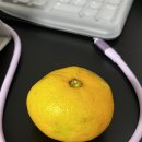 폴러스타커피 안양관악역점