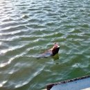 유정낚시터 이미지