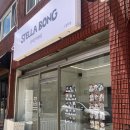 앳홈공인중개사사무소 | 광안동 애견미용샵 스텔라 봉 STELLABONG✨