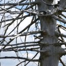 행복한순대 이미지