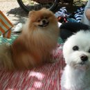 라포레캠핑장 이미지