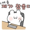 유박사 이미지
