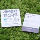 서초 크린 세탁 이미지