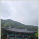 사나사(사찰 앞) 이미지