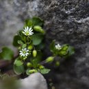 골프장둘레길 이미지