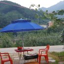 청솔민박 이미지