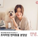 경기도 수원시 팔달구 효원로219번길 46-4 (인계동) 이미지