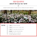 소담추어탕 | 정읍 가마솥 장작 춘향골 추어탕 구절초축제 맛집 가볼만한곳 현지인 추천 내돈내산 솔직후기