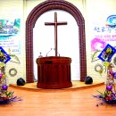 조치원 내판성결교회 성전꽃꽂이(대림절) 이미지