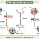 블루라인