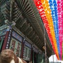 &#34;넌 마구니” 스님 사장 툭하면 폭언...22년 직장은 악몽이 됐다 - 한겨레신문 이미지