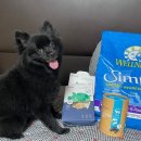 별사탕PC 이미지