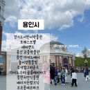 옥토끼목장 이미지