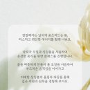 요가 여여