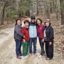 근덕초교 이미지