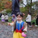 캠핑 포에버 이미지