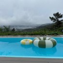 효니네 민박 이미지