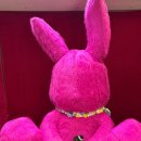 바니베어뮤지엄 이미지