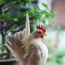 미스터브리더 이미지