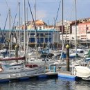 원낚시백화점 이미지