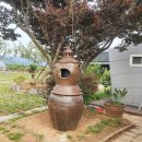 옹기문화의 집 이미지