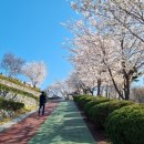 원도안로-7 이미지