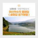 솔뫼길 | 미산저수지 둘레길 솔뫼길 걷기여행